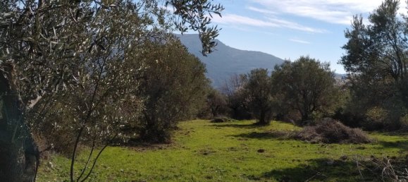 Casa de 6 habitaciónes en Nova Siri, Italy No. 42469 77