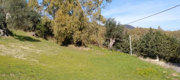 Casa de 6 habitaciónes en Nova Siri, Italy No. 42469 20