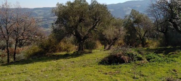Casa de 6 habitaciónes en Nova Siri, Italy No. 42469 22