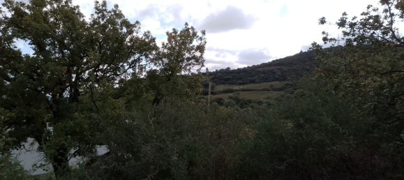 Casa de 6 habitaciónes en Nova Siri, Italy No. 42469 62