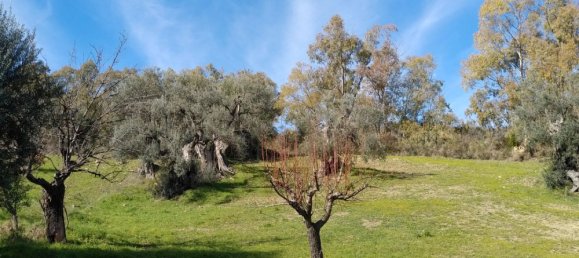 Casa de 6 habitaciónes en Nova Siri, Italy No. 42469 19