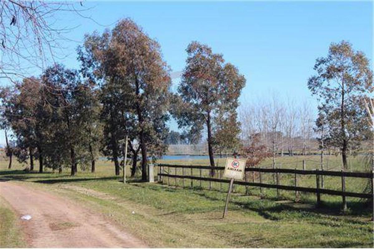  Land in General Rodriguez, Argentina No. 119516