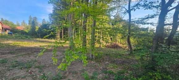 Terreno en Altlengbach, Austria No. 252222 2