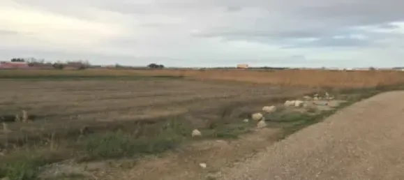  Land in Zaragoza, Spain No. 191551 9