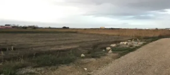  Land in Zaragoza, Spain No. 191551 8