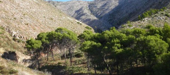  Land in Mijas, Spain No. 147013 3