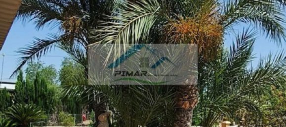 4 Schlafzimmer Haus in El Realengo, Spain, Nr. 148917 7