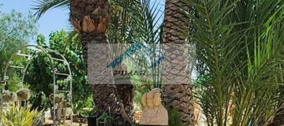 4 Schlafzimmer Haus in El Realengo, Spain, Nr. 148917 12