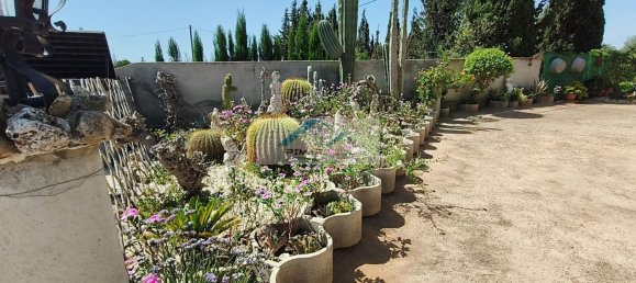 4 Schlafzimmer Haus in El Realengo, Spain, Nr. 148917 22