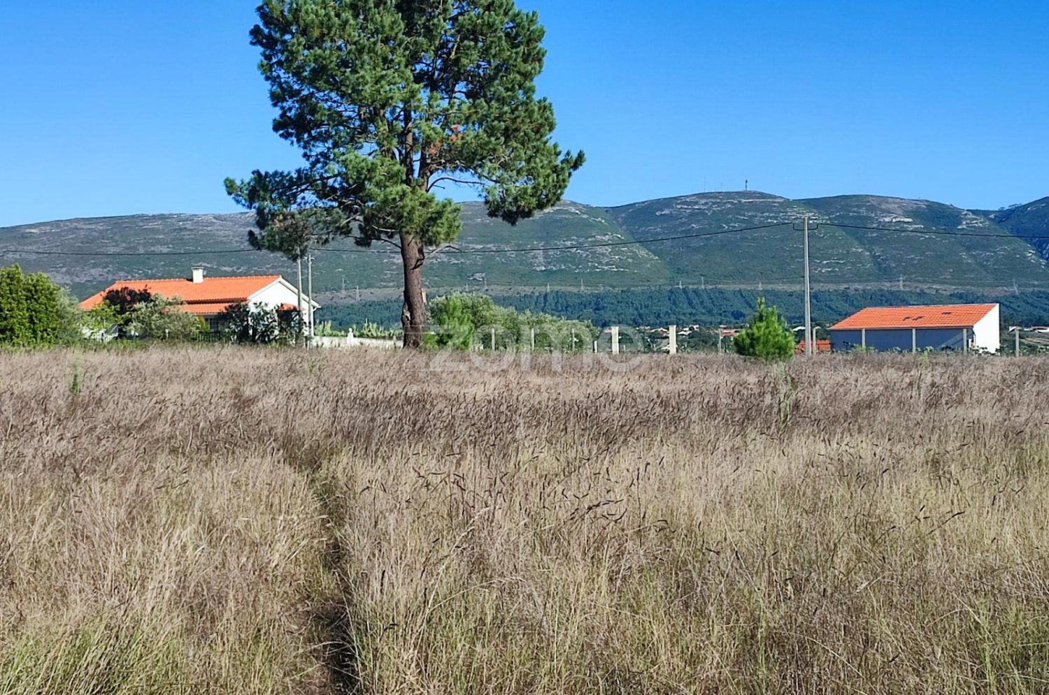 Земельный участок в Жункал, Португалия № 71869