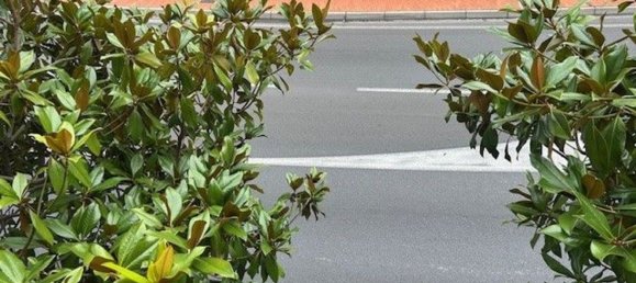 2-salle Appartement à Borghetto Santo Spirito, Italy No. 276519 30