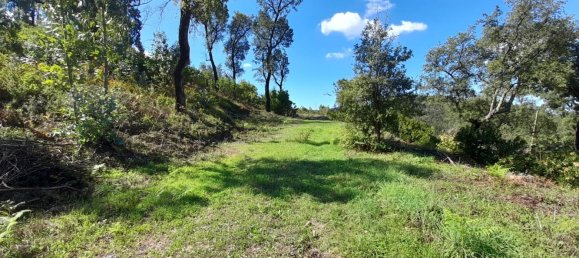 2 Schlafzimmer Haus in Monchique, Portugal, Nr. 66778 3