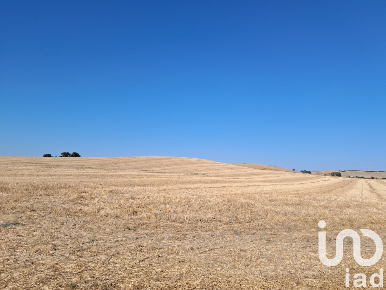Terreno em Arcos de la Frontera, Spain 91500 m² N.º 292662