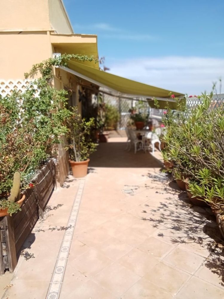 7 chambres Penthouse à Cadiz, Spain No. 169214