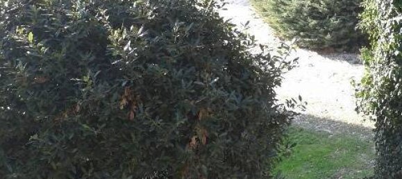 4 chambres Villa à Suzzara, Italy No. 178896 28