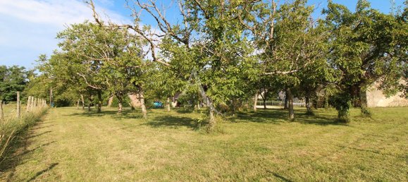 980m² Land in Monteaux, France No. 83950 5