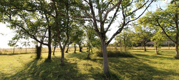 980m² Land in Monteaux, France No. 83950 7