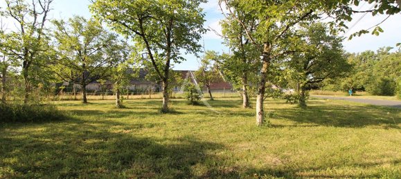 980m² Land in Monteaux, France No. 83950 3