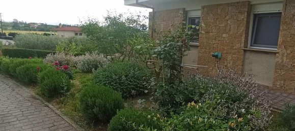 Propiedad comercial de 6 dormitorios en Thermaic Gulf, Greece No. 52953 12