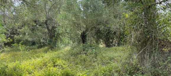 5020m² Hotel in Corfu, Greece No. 2074 8