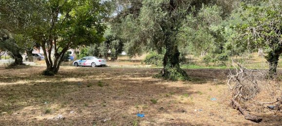 5020m² Hotel in Corfu, Greece No. 2074 5