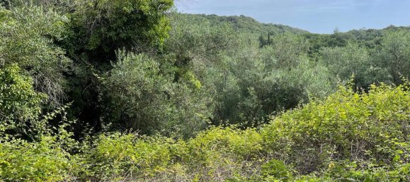 5020m² Hotel in Corfu, Greece No. 2074 4