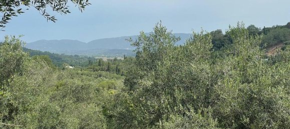 5020m² Hotel in Corfu, Greece No. 2074 6