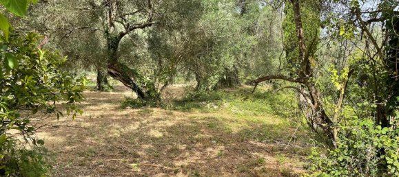 5020m² Hotel in Corfu, Greece No. 2074 9