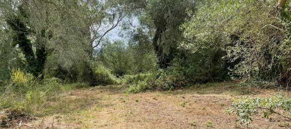 5020m² Hotel in Corfu, Greece No. 2074 7