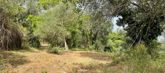 5020m² Hotel in Corfu, Greece No. 2074 10