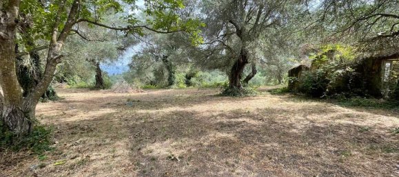 5020m² Hotel in Corfu, Greece No. 2074 3