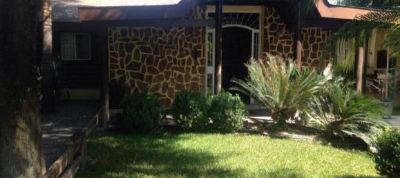 Studio in Montemorelos, Mexico No. 168124 2