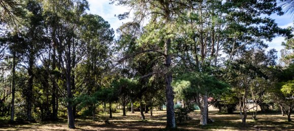 Grundstück in Urunga, Australia 600m², Nr. 475 6