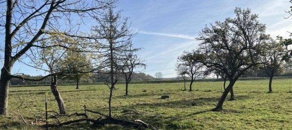 10-Zimmer Schlösser in Chemnitz, Germany, Nr. 23567 8