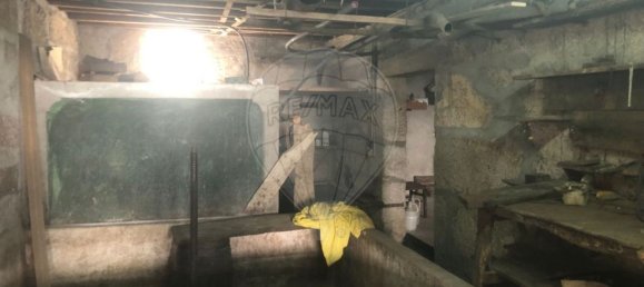 3 chambres Maison à Nelas, Portugal No. 166844 21