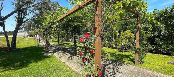 6 chambres Villa à Aveiro, Portugal No. 120253 47