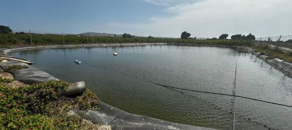  Land in Almoradi, Spain No. 160954 14