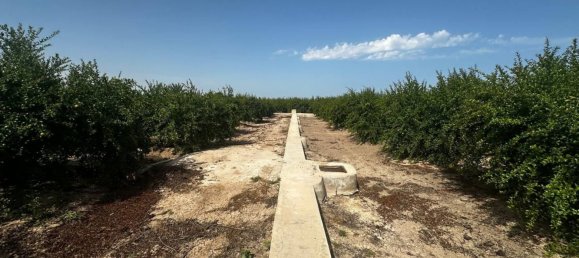  Land in Almoradi, Spain No. 160954 4