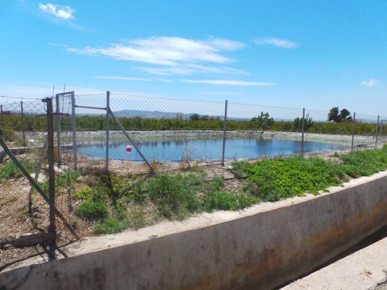  Land in Almoradi, Spain No. 160954
