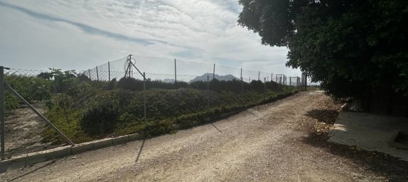  Land in Almoradi, Spain No. 160954 12