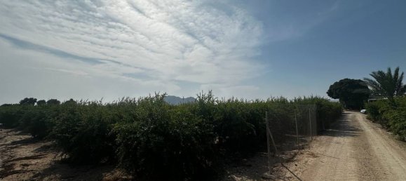  Land in Almoradi, Spain No. 160954 8