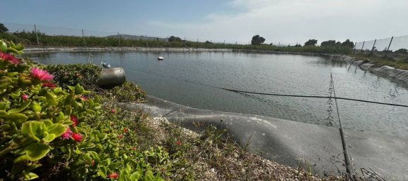  Land in Almoradi, Spain No. 160954 13