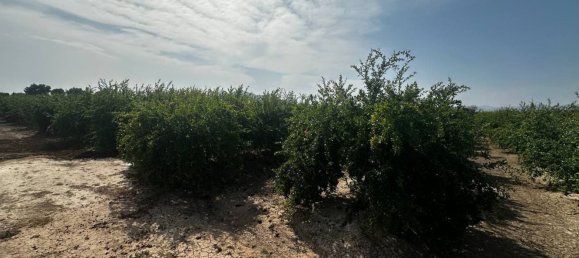  Land in Almoradi, Spain No. 160954 5