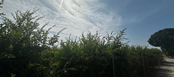  Land in Almoradi, Spain No. 160954 9