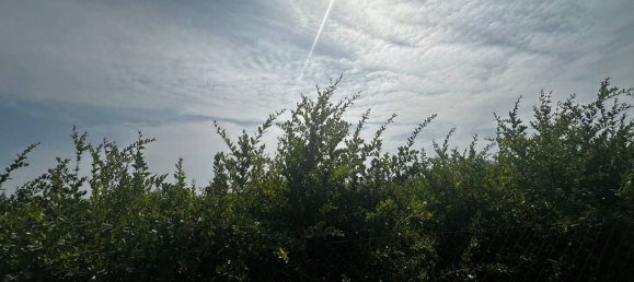  Land in Almoradi, Spain No. 160954 10