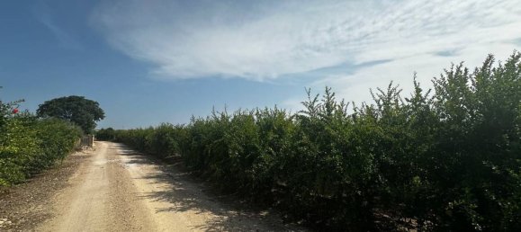  Land in Almoradi, Spain No. 160954 3