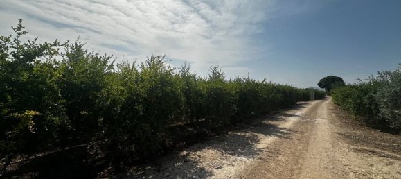  Land in Almoradi, Spain No. 160954 2