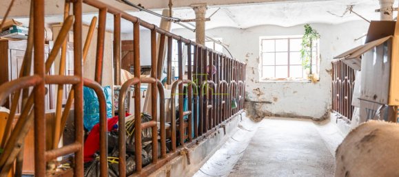 Ферма с 3 спальнями в Neu-Ulm, Германия № 148395 15