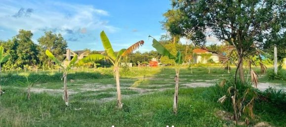  Commercial property in Bang Tao, Thailand No. 14567 2