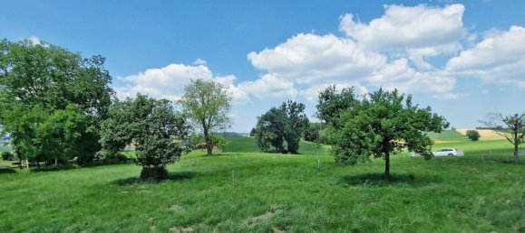 4-salle Maison à Kirchham, Austria No. 223054 5